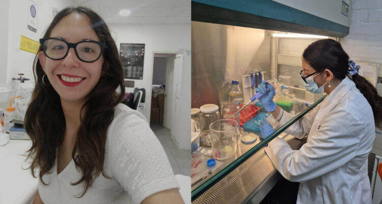 Veterinaria chilena desarrolla un posible tratamiento con cannabis para el cáncer de mama en perras