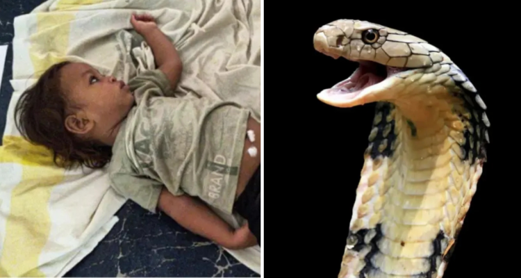 Caso de Govind Kumar