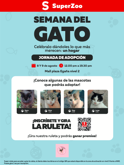 Jornada de adopción de gatos 