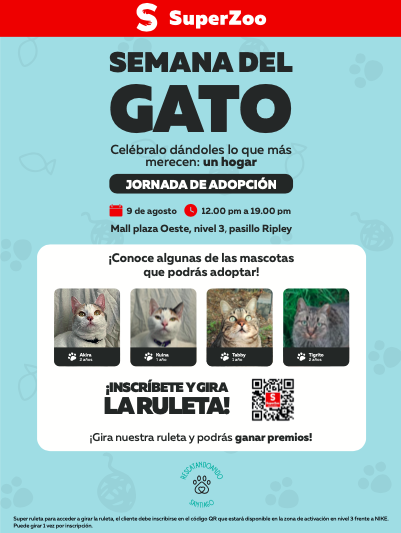 Jornada de adopción de gatos