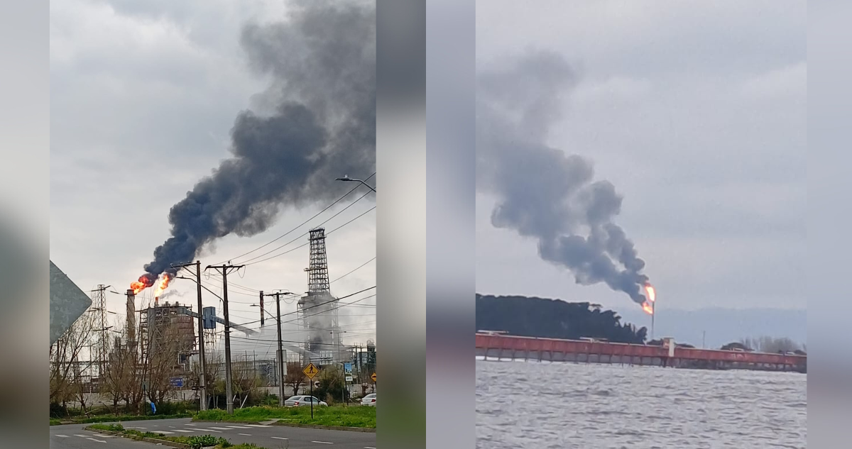 Cedidas a Radio Bío Bío