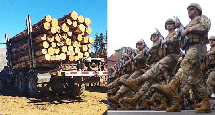 Gremio de conductores forestales cuestiona efectividad de la presencia de FFAA en la Macrozona Sur