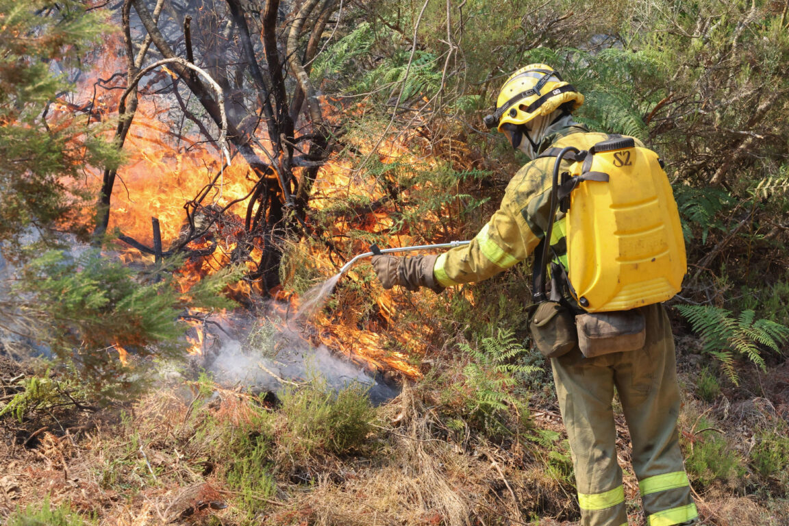 Bomberos trabajan en la extinción del incendio este jueves, en las proximidades de La Alberca (Salamanca)