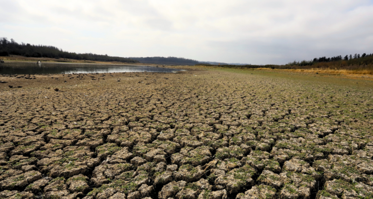 Pronostican posible retorno de La Niña en 2025: ¿Qué podría significar para Chile?