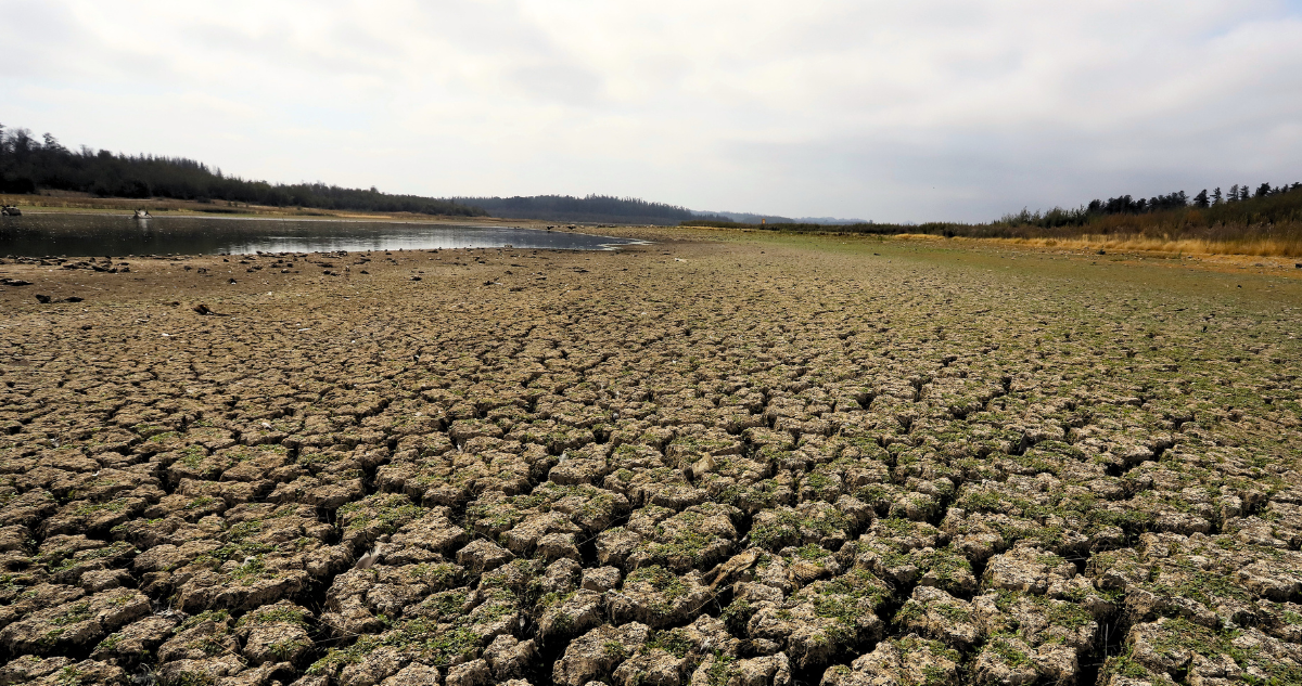 Pronostican posible retorno de La Niña en 2025: ¿Qué podría significar para Chile?