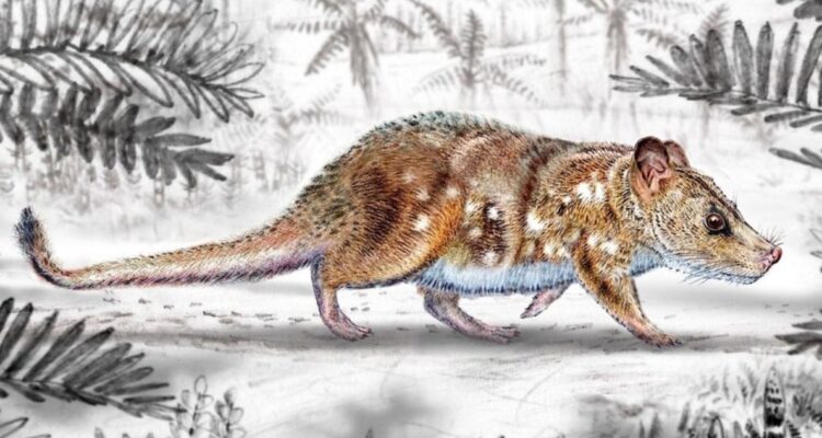 Descubren en Chile fósiles de un mamífero con linaje desaparecido y que vivió con los dinosaurios