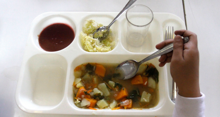 Manipuladoras de alimentos audio dirigenta