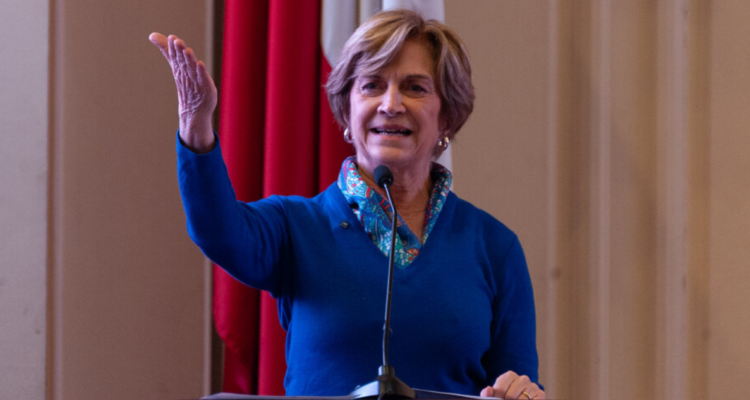 Matthei pide a RN tener sabiduría para creer en el proyecto.