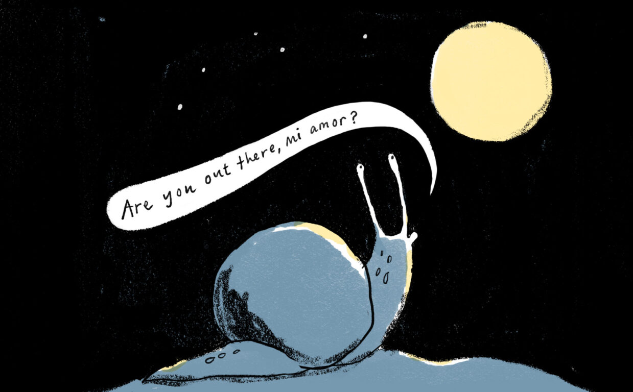 ilustración de Ned, el caracol zurdo