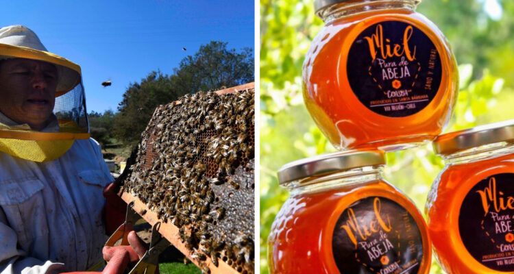 Europeos se derriten por la “miel chilena”: estanterías agotadas en París y una calidad incuestionable