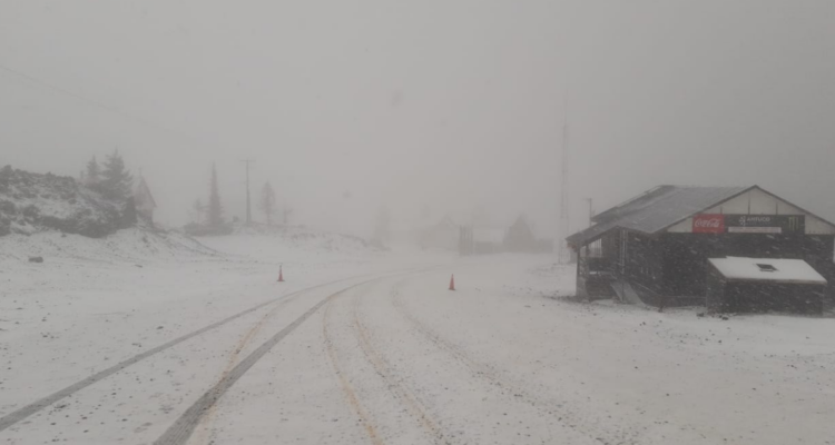 Bío Bío: Senapred informa de nevadas que podrían dejar hasta 40 cm de nieve en sectores cordilleranos