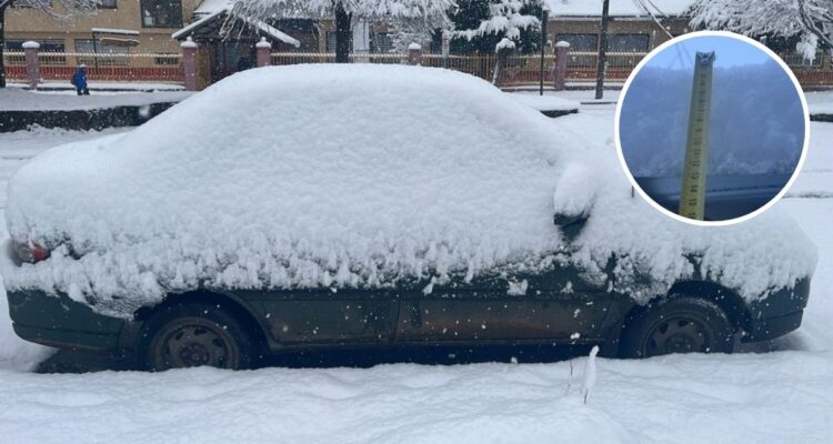 Nieve en región de La Araucanía