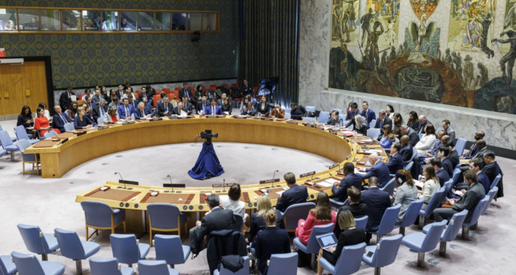 Consejo de Seguridad de la ONU