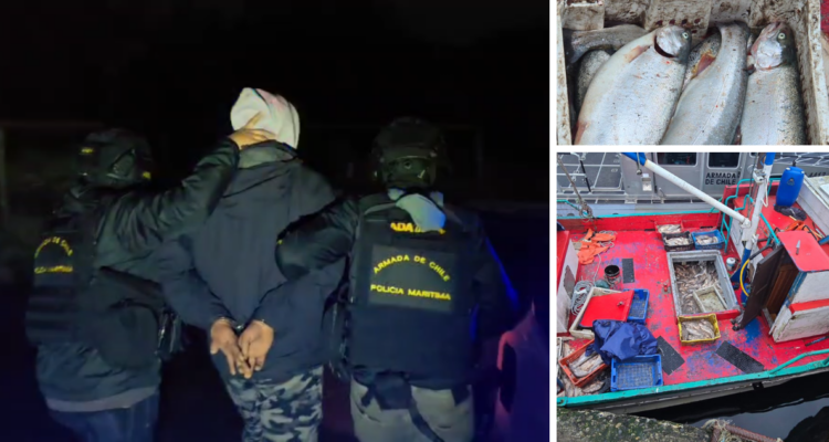 15 personas detenidas y 10 toneladas de salmones incautadas deja operativo en Quellón