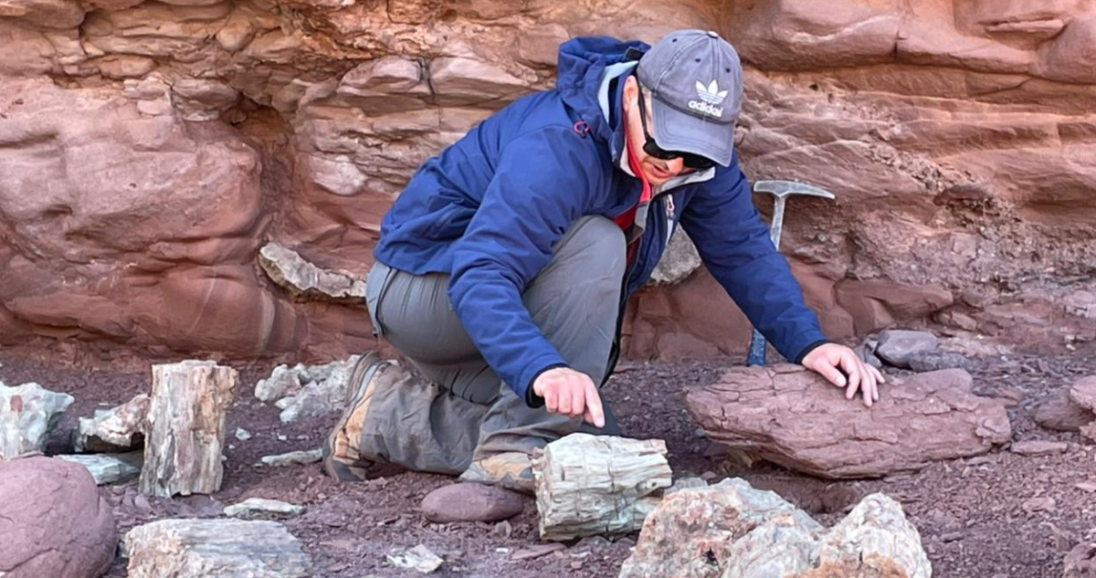 A partir de 2026, la Universidad de Atacama impartirá una carrera que permitirá especializarse en paleontología; un hito para las ciencias en Chile. En concreto, se trata de la nueva carrera ‘Licenciatura en Ciencias’. Desde la casa de estudios indican que su creación “responde a los desafíos científicos y sociales de la región, fortaleciendo la investigación territorial y promoviendo la conservación del patrimonio y la biodiversidad”. Junto con ello, tiene el objetivo de que las personas interesadas en cursarla no deban migrar a otras regiones. De esta manera, apuestan por el desarrollo local, la diversidad y la identidad regional. [LeeTambien]https://www.biobiochile.cl/noticias/servicios/beneficios/2025/08/01/revisa-aqui-con-tu-rut-si-recibiste-gratuidad-becas-y-mas-tras-postular-o-apelar-al-fuas.shtml[/LeeTambien] Especialización en paleontología La carrera contempla un programa común de dos años para los estudiantes que la cursen. Luego, deberán escoger entre tres menciones: [destacador]Astronomía y Física, Medio Ambiente y Recursos Naturales, y Paleontología.[/destacador] Según asegura en una columna de opinión, el Dr. Philippe Moisan, paleobotánico y académico de la Universidad de Atacama y Ciencia e Innovación para el Futuro, esta especialización [destacador]“no existe actualmente como opción formativa en ninguna otra universidad chilena a nivel de pregrado”.[/destacador] El académico señaló que se trata de una propuesta ambiciosa, sin embargo, sostiene que responde a las necesidades de la región, “a sus vocaciones productivas, a sus desafíos científicos, patrimoniales y ecológicos, y al deseo de muchos jóvenes que hasta ahora se veían obligados a migrar a otras ciudades, incluso abandonar su interés por la ciencia, por falta de alternativas locales”. Licenciatura en Ciencias también destacará por [destacador]tener un enfoque disciplinario, con asignaturas como Biología y Geología.[/destacador] En ese sentido, apuestan por una formación integrada que, según Moisan, solo existen en Argentina en la región. Además, estará vinculada con la Estrategia Regional de Desarrollo de Atacama (ERDA), que tiene su foco en los ejes: diversificación productiva, impulso al turismo sustentable y protección del patrimonio natural y cultural, apunta el académico. Finalmente, el paleobotánico afirma que la licenciatura busca “atraer, formar y retener talento científico en Atacama. Que nuestros egresados no solo aporten al conocimiento global, sino que también trabajen en su propia región, en proyectos con impacto local”, para ello asegura que están formando vínculos con centros científicos, empresas, museos, servicios públicos y comunidades.