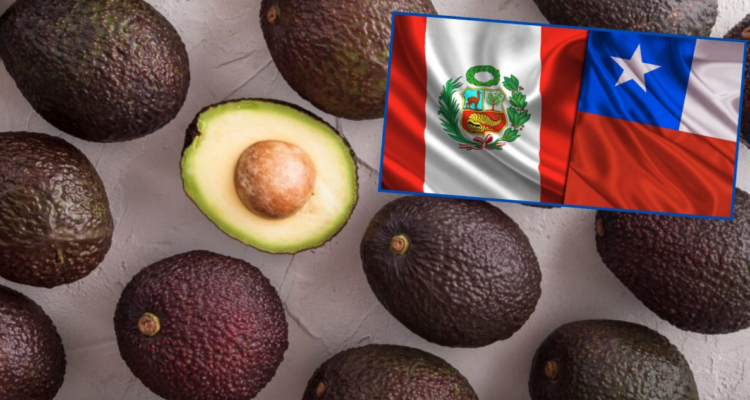 Palta peruana.