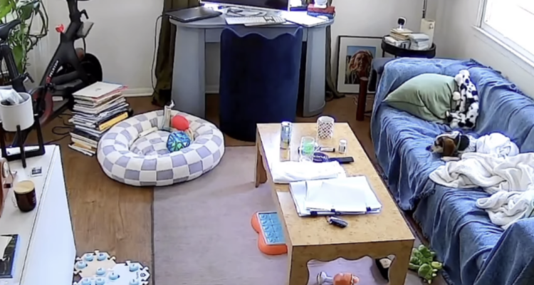 Perrito aprendió a usar Alexa para escuchar música y se hizo viral: es fan del grupo Juice