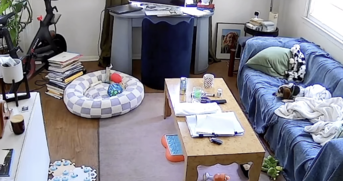 Perrito aprendió a usar Alexa para escuchar música y se hizo viral: es fan del grupo Juice