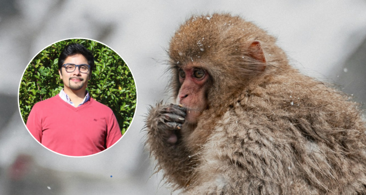 El biólogo chileno que puso en duda la teoría del origen de los primates