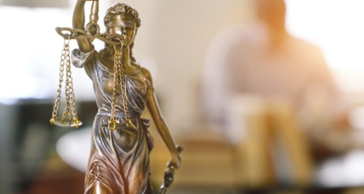 Potestad reglamentaria y gobernar por decreto