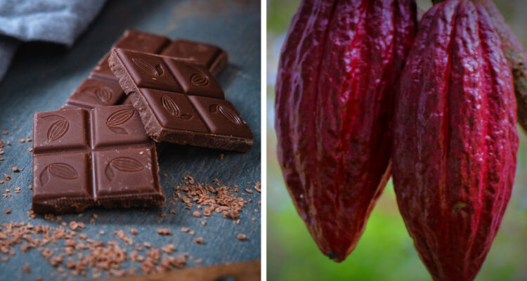 Buena noticia para los amantes del chocolate: precios del cacao bajan tras tocar máximos de dos meses