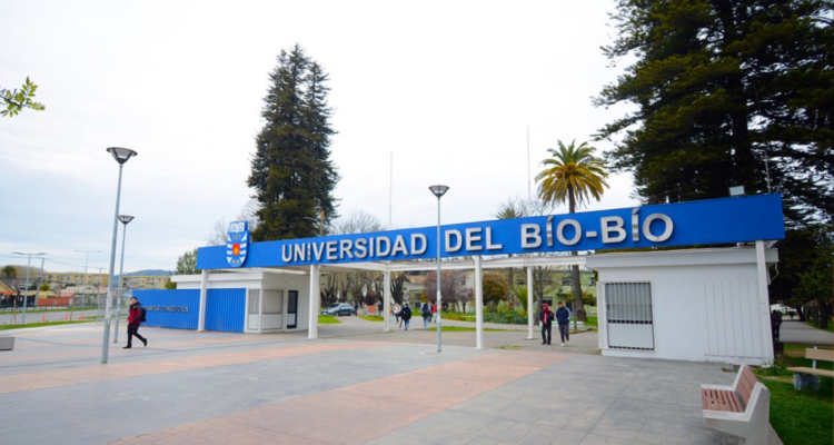 Columna de Benito Umaña: aportes desde una perspectiva regional al proyecto FES