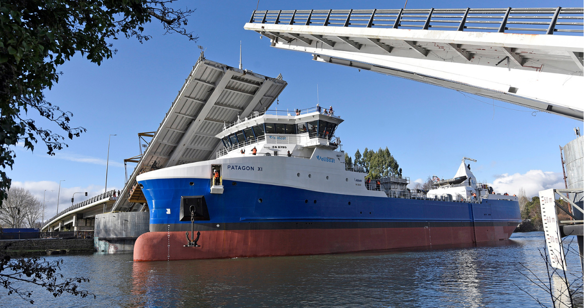 Valdivia: MOP confirma a tres empresas en licitación para ampliar ángulo de apertura en Puente Cau Cau