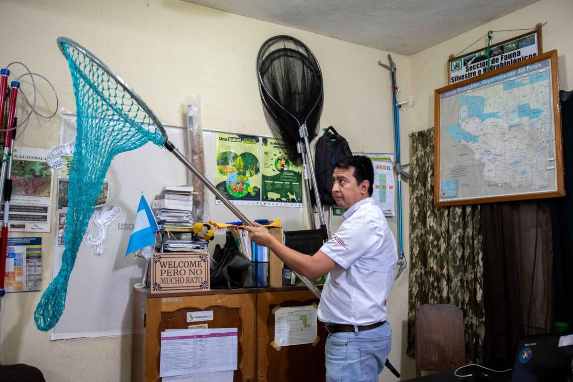 Red de rescate de felinos