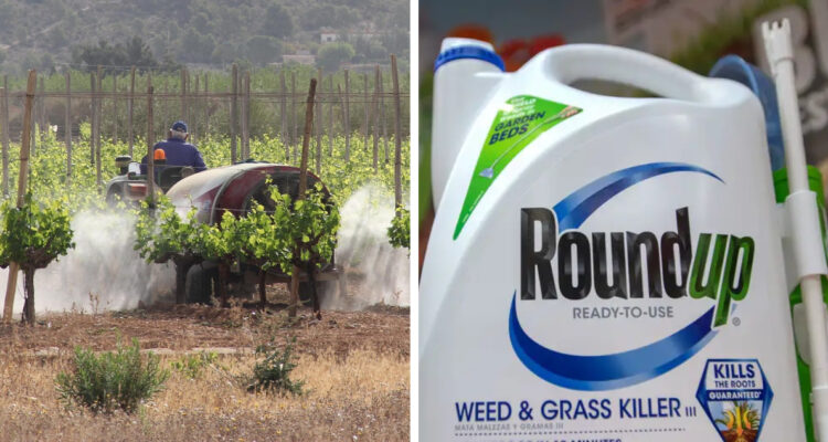 ODECU exige compensaciones de $200 millones a cada persona afectada por herbicida de Bayer/Monsanto