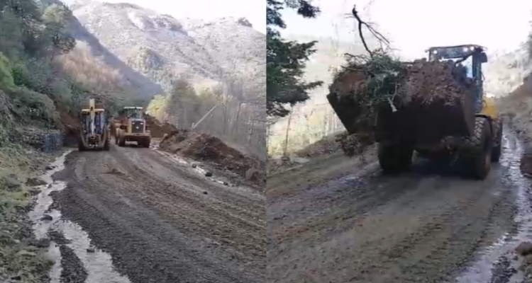 Ruta Q-61 en Alto Bío Bío vuelve a habilitarse tras derrumbe de rocas que mantenía cortado el camino