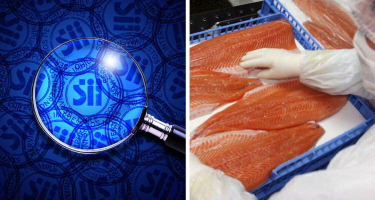 Los métodos con que el SII pone ojo a los millones que se mueven por las ventas del robo de salmón