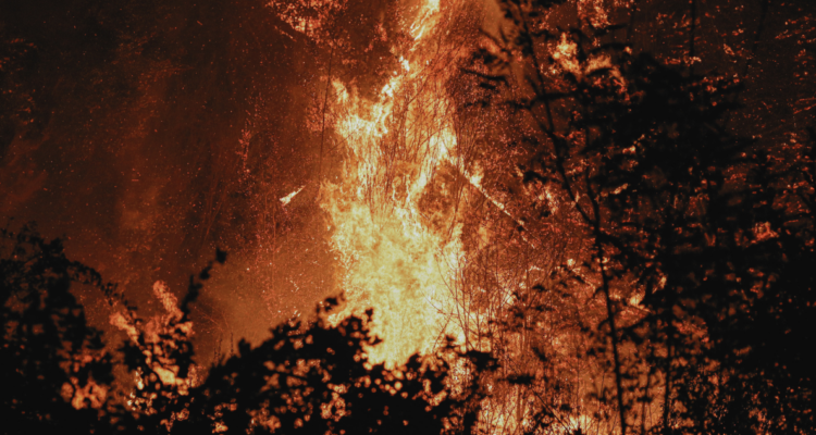 Declaran Alerta Roja por incendio forestal que amenaza a la Reserva Nacional Ralco en Alto Bío Bío