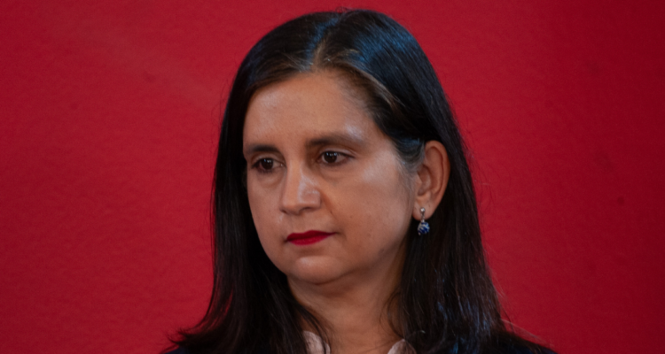 Funcionarios en contra de nueva ministra Fernández: la acusan de no “respetar la institucionalidad”