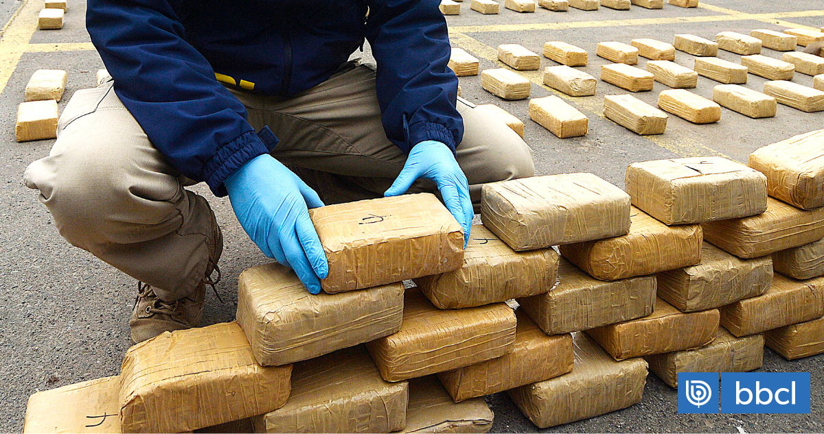 Las rutas del narco: cómo se mueve la cocaína dentro del continente americano, según la ONUDD