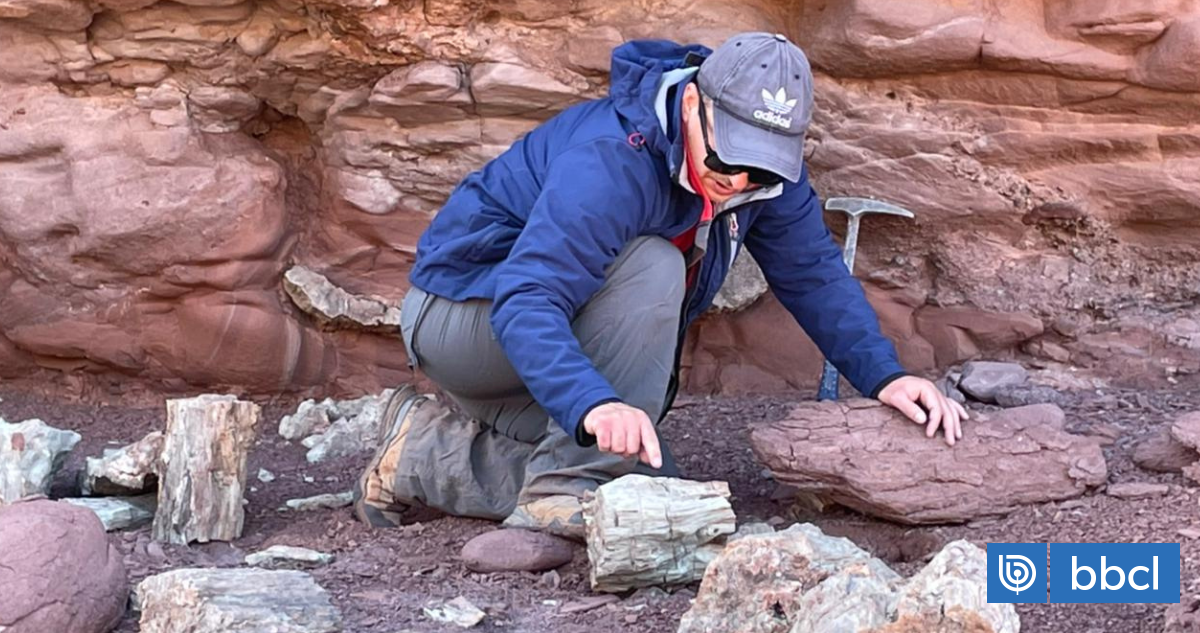 ¿Estudiar paleontología en Chile? Qué se sabe de la carrera que se dictará por primera vez en 2026