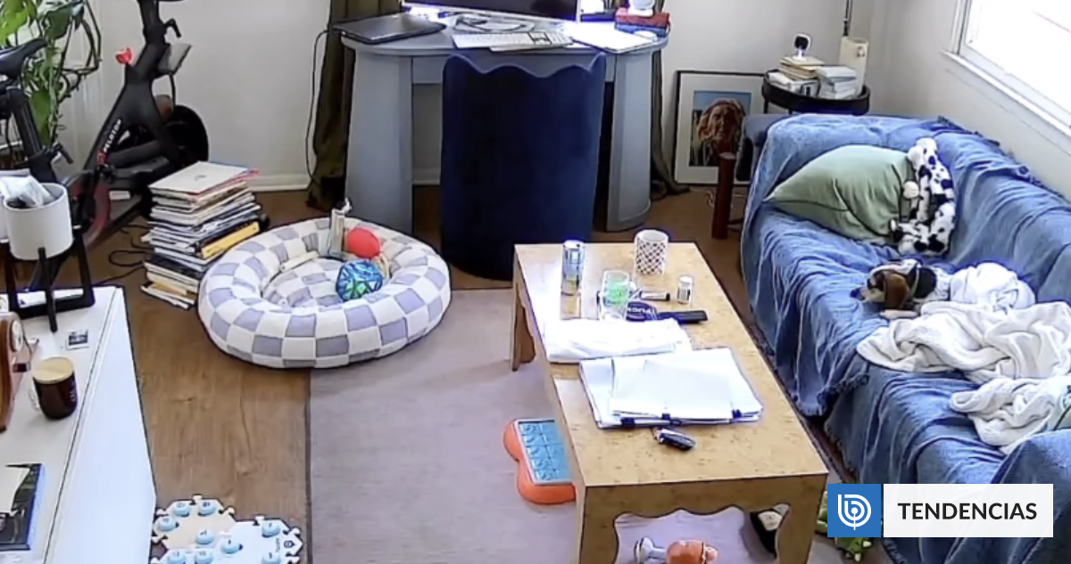 Perro Jude se Vuelve Viral por Pedir Música a Alexa con Botones y Conecta con la Banda Juice