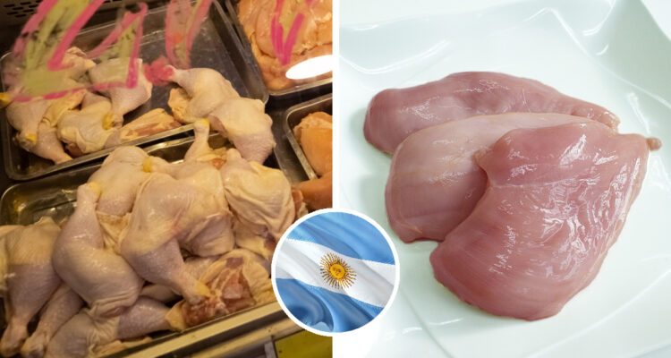 Ordenan suspender temporalmente importaciones de pollo desde Argentina por brote de influenza aviar
