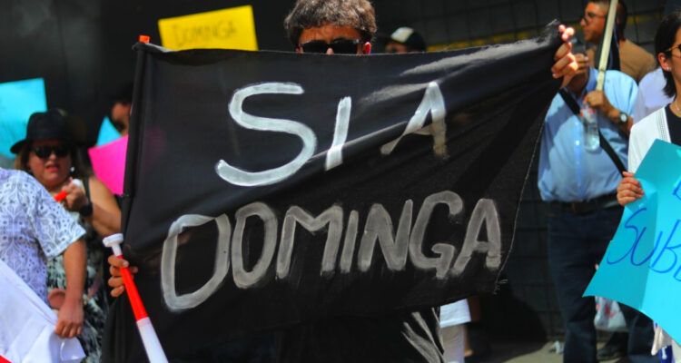 TC allana el camino para proyecto Dominga: declara inadmisible requerimiento de inaplicabilidad