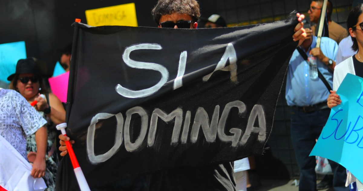 TC allana el camino para proyecto Dominga: declara inadmisible requerimiento de inaplicabilidad
