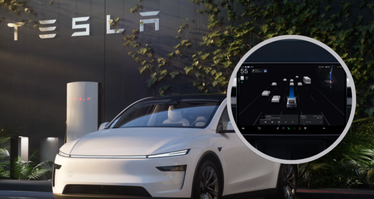 Auto Tesla chocó y mató a joven mientras conductor recogía su celular: ordenan pagar millonaria suma