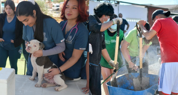 Renuevan espacios en 12 comunas: más de 600 alumnos de Santo Tomás participan de trabajos voluntarios