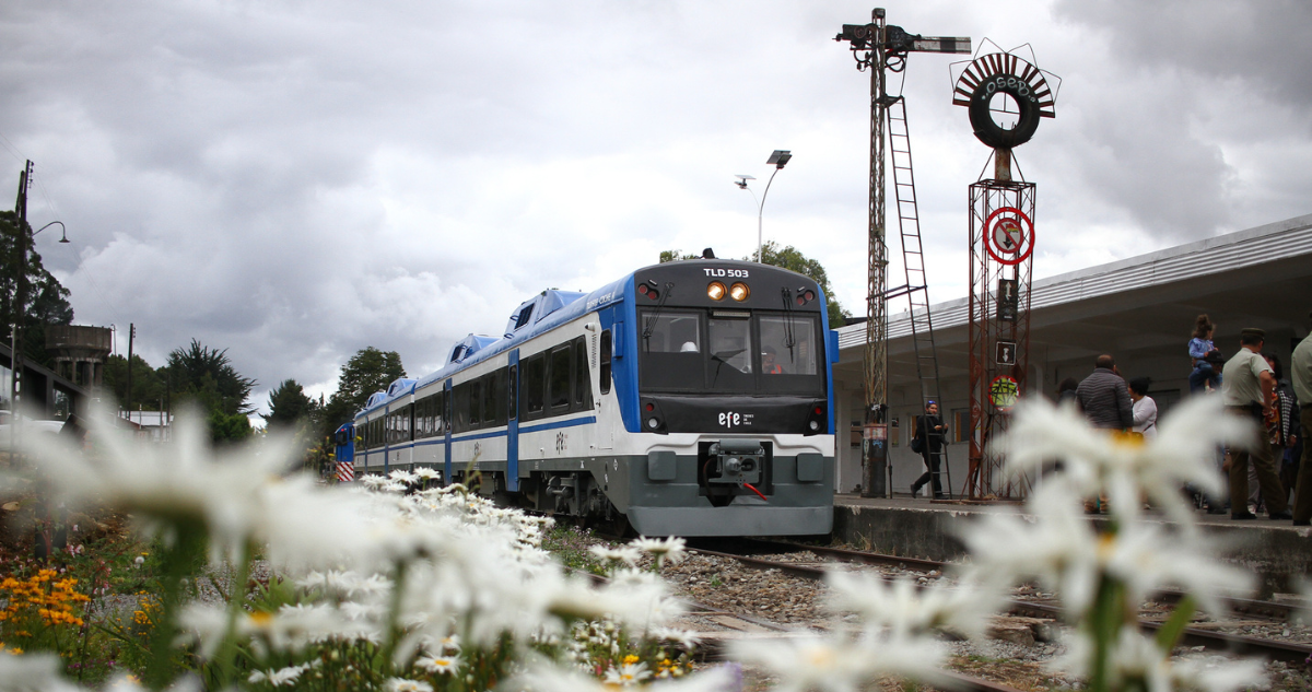 Tren