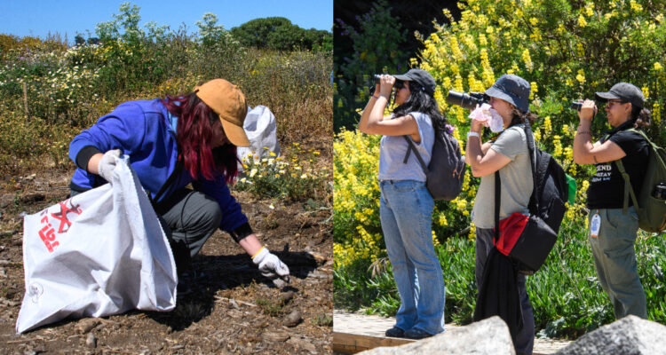 Programa de la U. Santo Tomás capacita a personas mayores de todo Chile como vigilantes ambientales