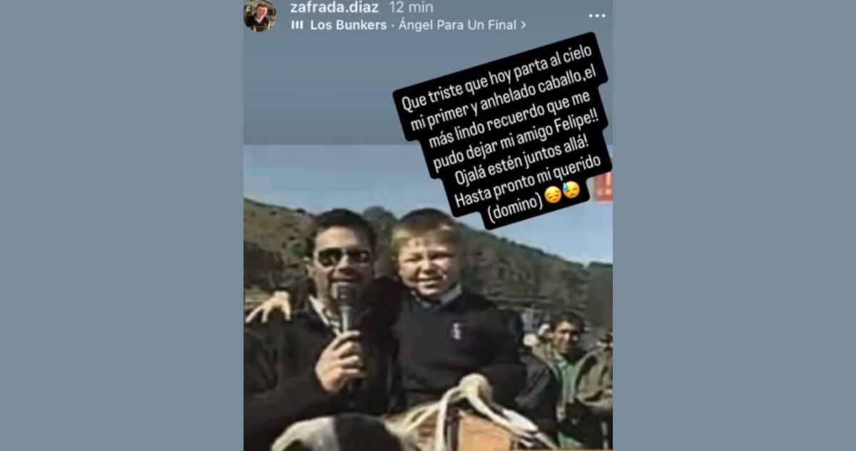 Muere caballo que Felipe Camiroaga regaló a Zafrada