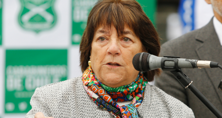 Provincia de Arauco: víctimas de violencia lamentan dichos de ministra Delpiano respecto a la CAM