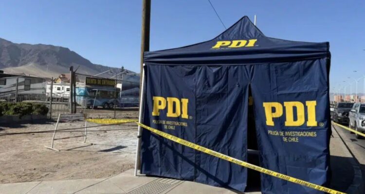 Adulta mayor muere electrocutada mientras paseaba a su mascota en Antofagasta