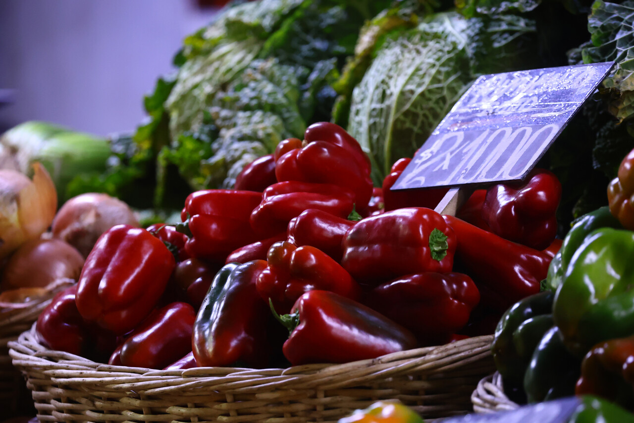 Supera el millón de pesos: Estos son los sueldos en el sector agrícola chileno