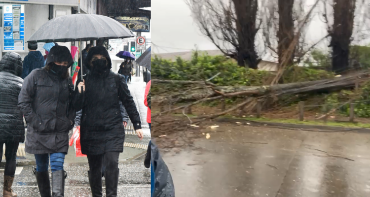 Árboles caídos, voladuras de techumbres y más de 17 mil clientes sin luz deja temporal en Los Ríos