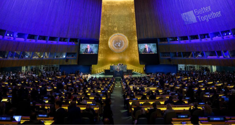 Asamblea General de la ONU