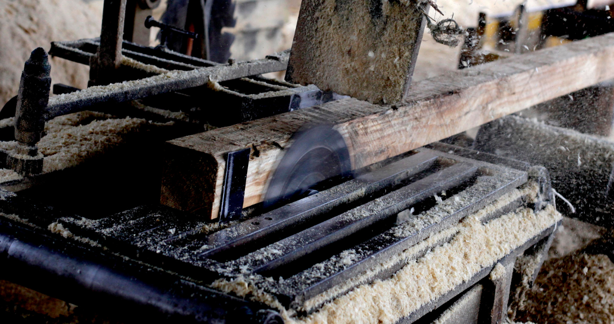 Bío Bío: pymes forestales rechazan dicho de seremi del Trabajo en relación a cierre de aserraderos